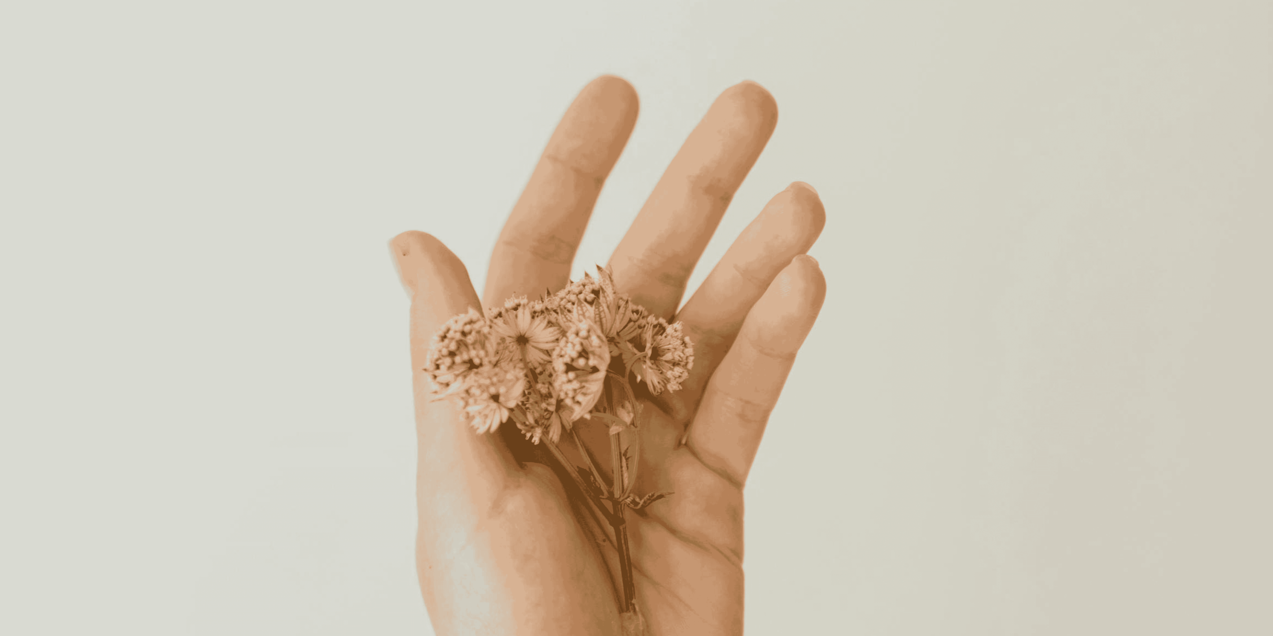 Beauty: The Most Essential Part of Your Self-Care Routine!