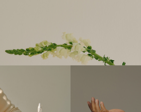 What is Holistic Care and Why It’s the Future of Beauty?